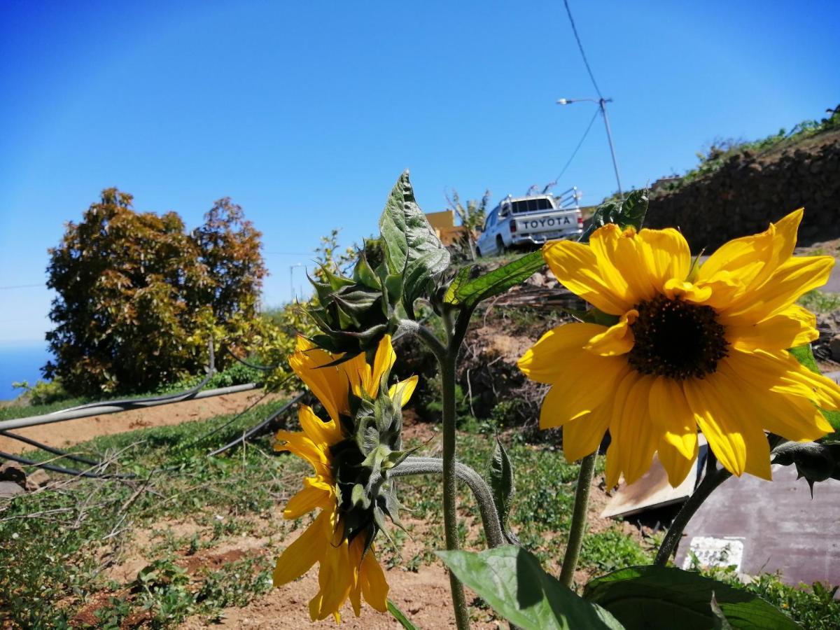 Green Village. Tony Frias. Fasnia Εξωτερικό φωτογραφία