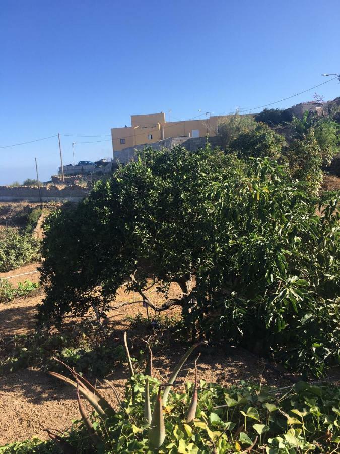 Green Village. Tony Frias. Fasnia Εξωτερικό φωτογραφία