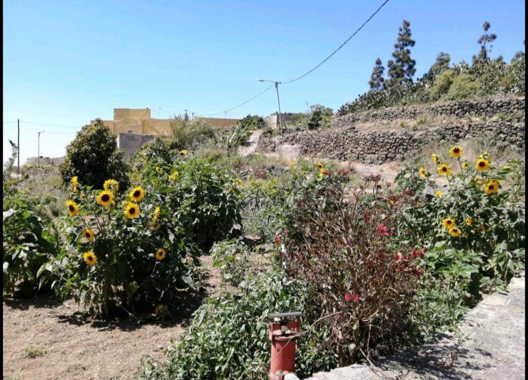 Green Village. Tony Frias. Fasnia Εξωτερικό φωτογραφία